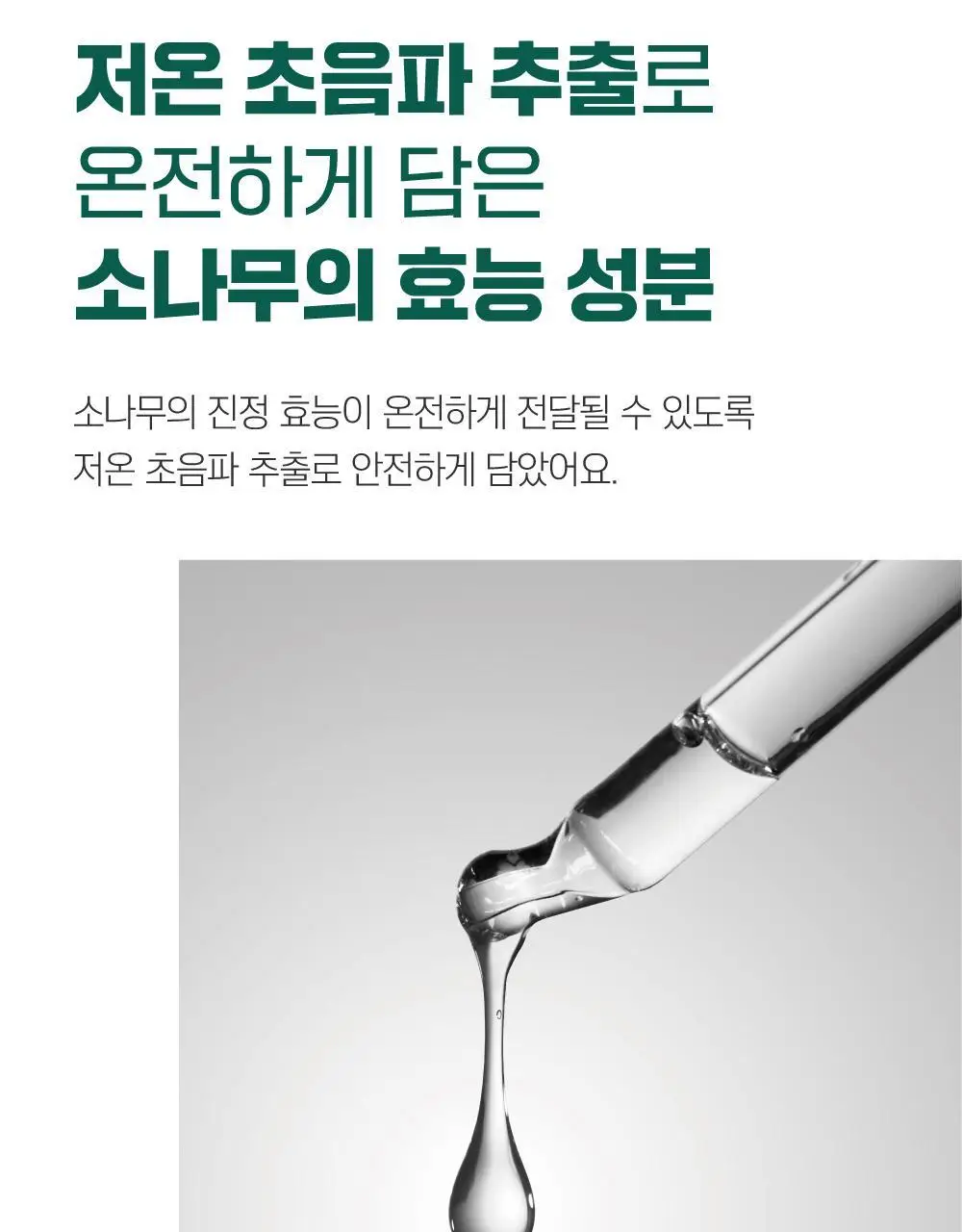 [집중진정] 라운드랩 소나무 진정 시카 앰플 30ml 기획 (+토너 20ml) 상세페이지 15